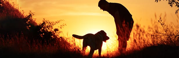 Pet Grief Support in Raleigh: Man and Dog Enjoying Sunset