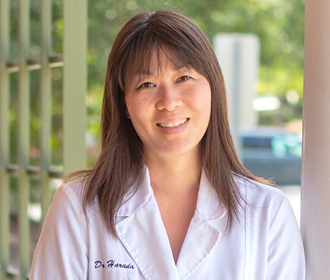 harada Veterinarians in Raleigh: Dr. Kozue Harada