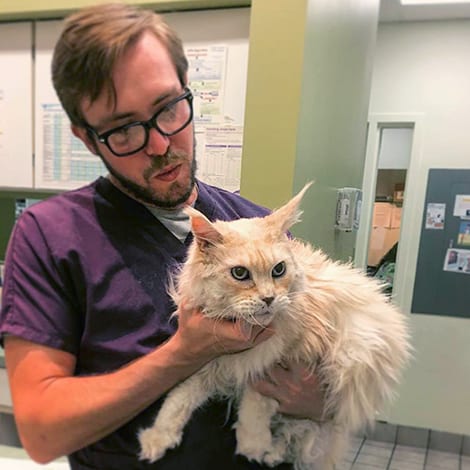 Pet Exams and Wellness Care in Raleigh: Vet Carrying Cat