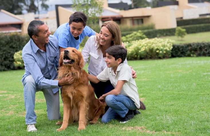 tips for new dog owners raleigh nc